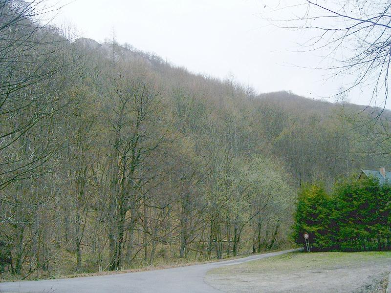 2012.04.14. 0048.jpg